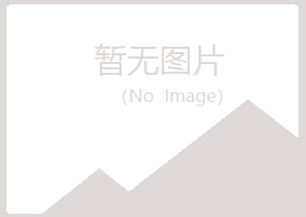 黄龙县夏岚金融有限公司